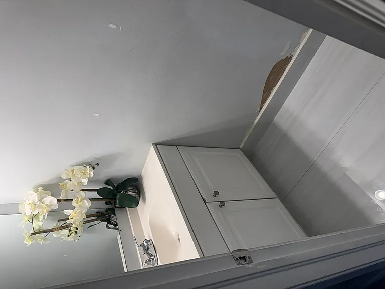 1234 White Pine Dr — Photo 3