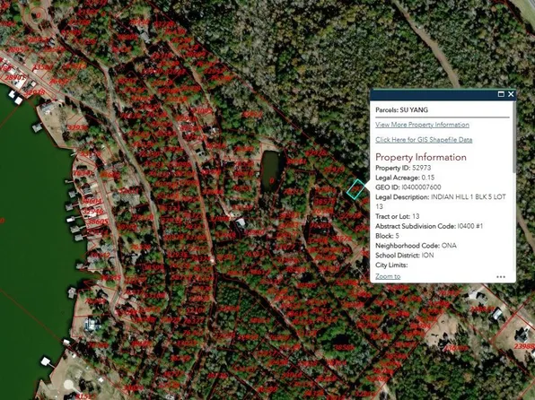 224 Lakeshore Point, Livingston, TX 77351