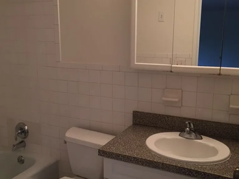 Chestnut Hill South — Photo 17