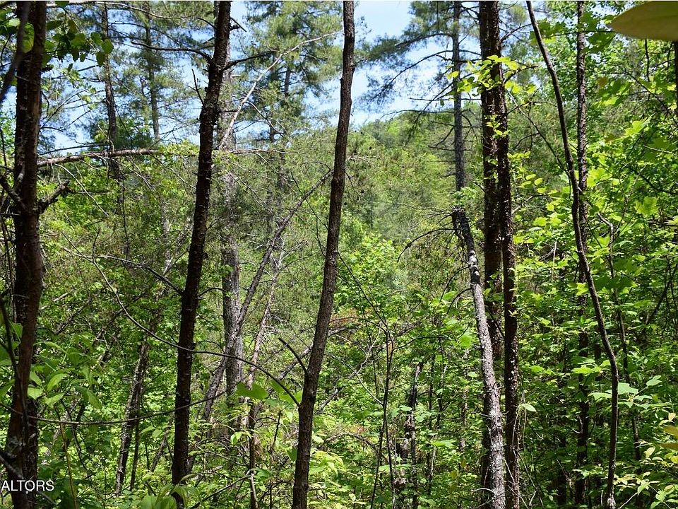 2nd image of Bryant Hollow Way Lot 8