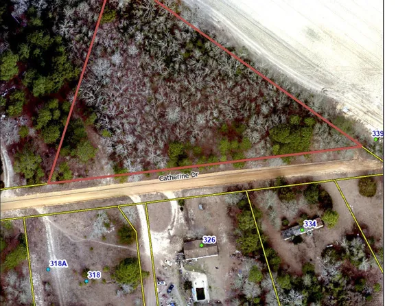 325 Catherine Dr, Pelion, SC 29123