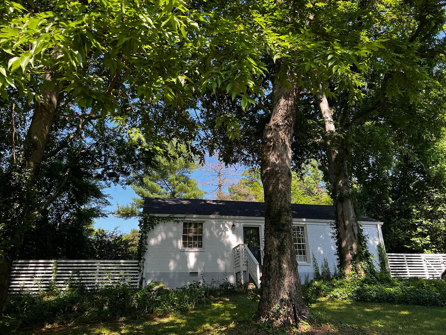 2 bed, 1075 sqft, $3,000 — Photo 4