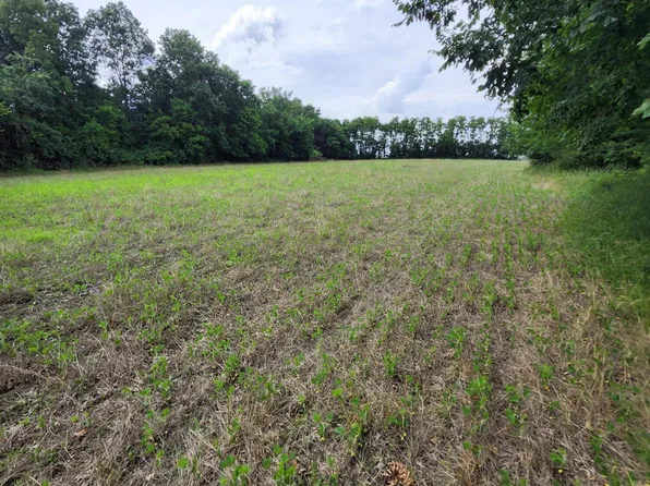 TRACT 3 E McHatton Rd, Sturgeon, MO 65284