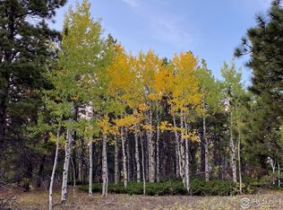 879 County Road 128w, Nederland, CO 80466