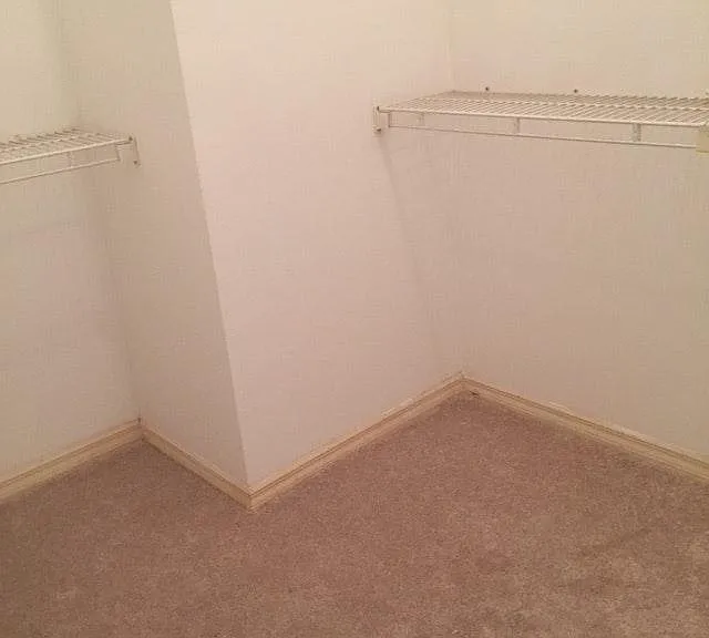 214 Egret Ct — Photo 5