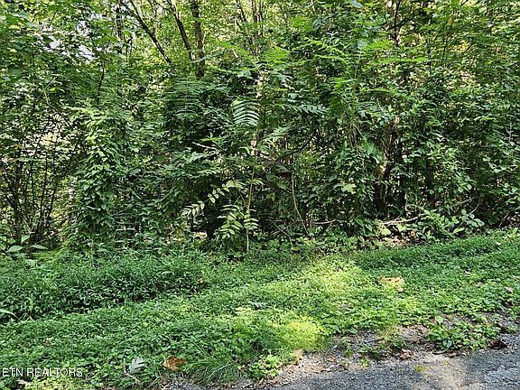 2nd image of 0 Berry Rd