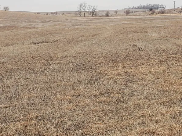 56626 868th Rd, Belden, NE 68717