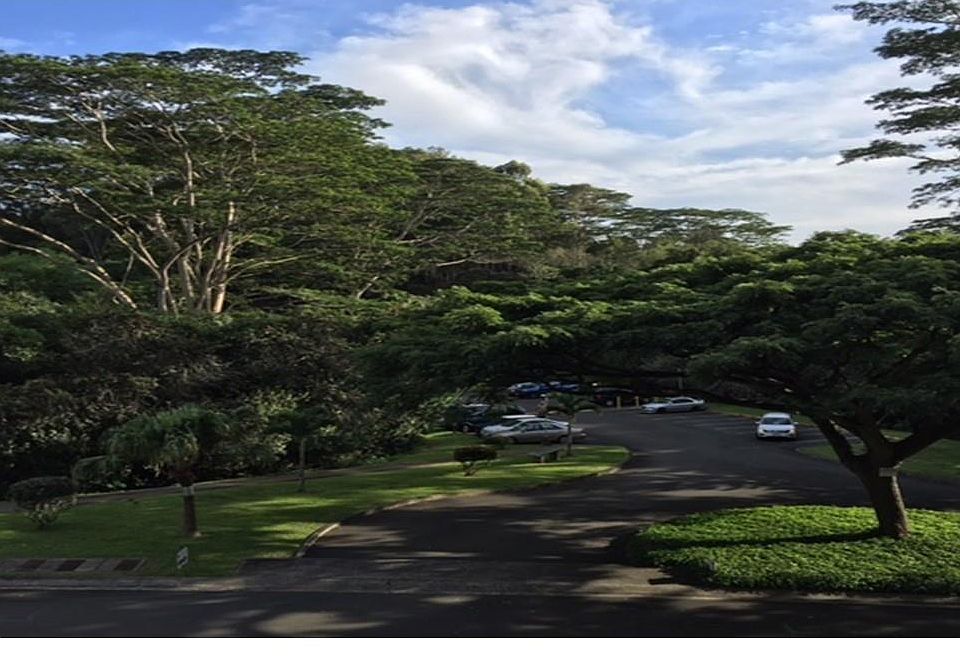 1st image of 95-270 Waikalani Dr APT M104