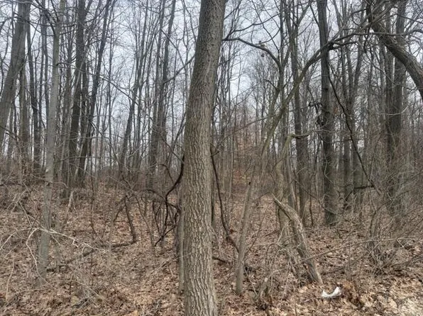 6497 E 128th St, Sand Lake, MI 49343