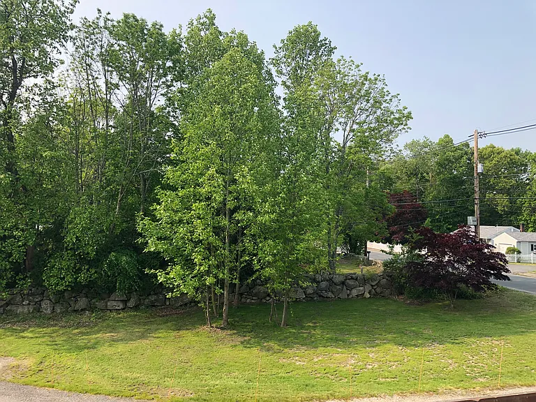 410 Sanford Rd — Photo 5