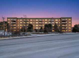 2 Birchwood Court #3D, Mineola, NY 11501