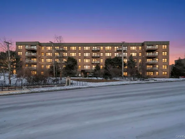 2 Birchwood Court #3D, Mineola, NY 11501