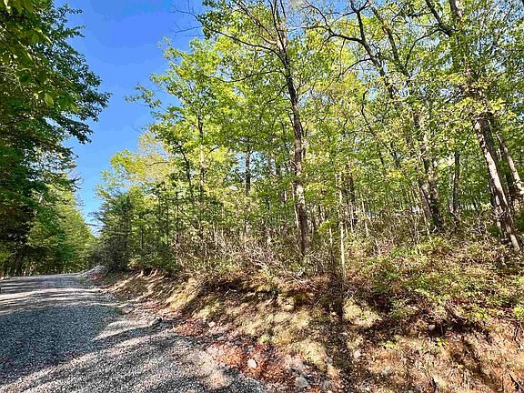 5th image of 18 Scenic Hills Dr