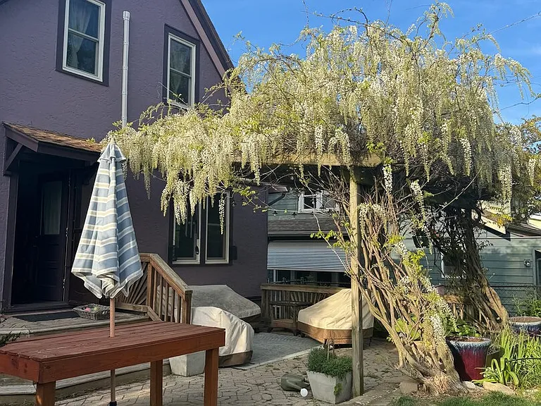 Spring Lawn Ave — Photo 21