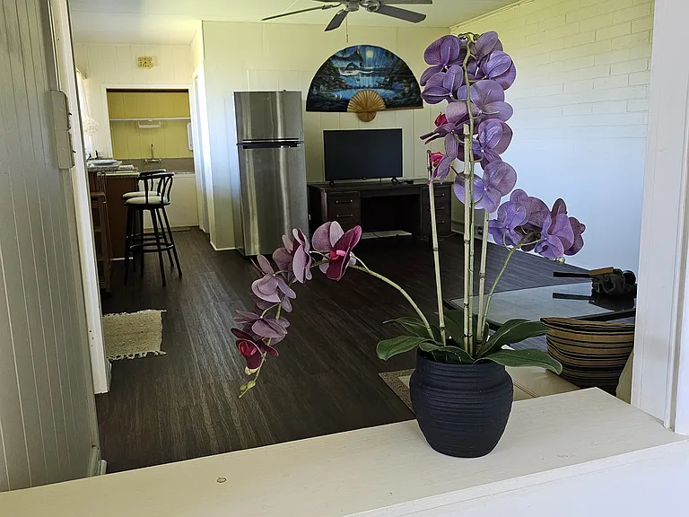 Mott Smith Dr — Photo 15