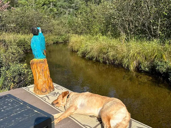 3467 River Park Dr Lot 107, Grayling, MI 49738