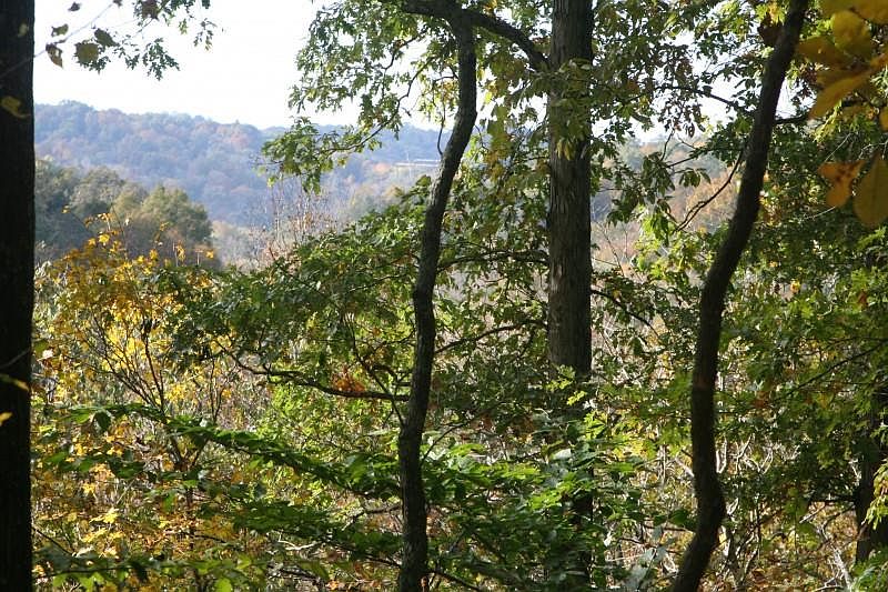 1st image of 1199 Green Valley Dr