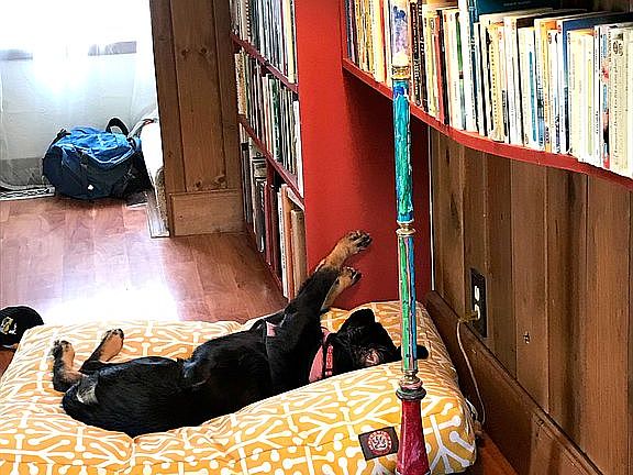 Built in Bookcase 