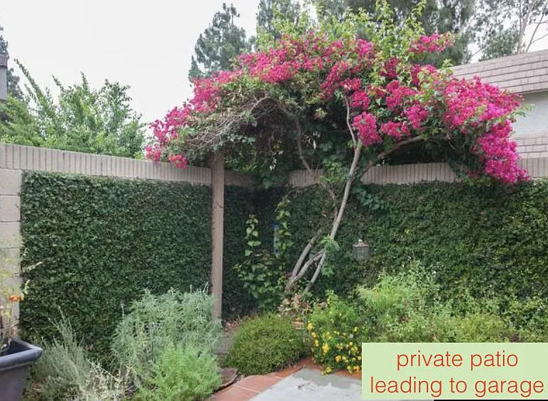 12316 Sandy Rock St — Photo 9