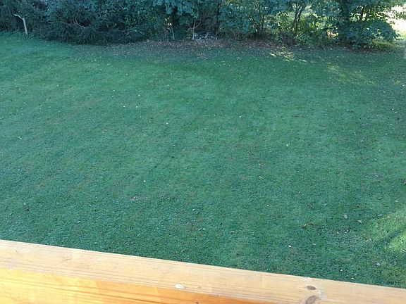 large shared back yard for gardening, corn hole, entertaining. Owner provides mowing services.