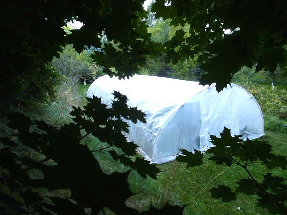 Greenhouse for spring & fall