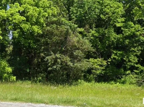 0 Benson Loop, Goreville, IL 62939
