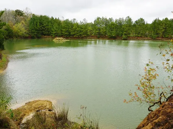 0 Main St, Shorter, AL 36075