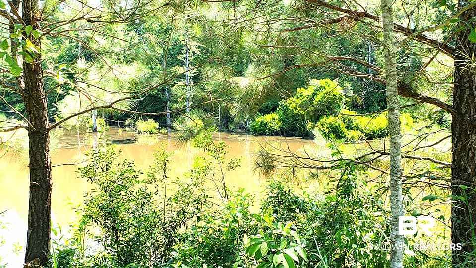 2nd image of 0 Bayou Rd