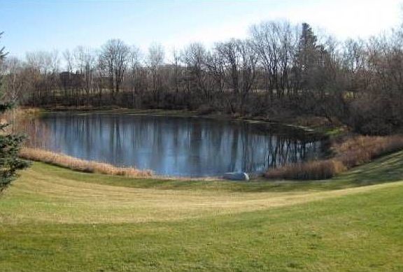 Pond View