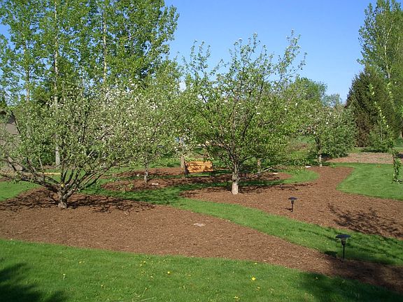Fruit Tree Garden