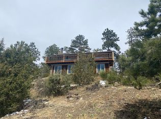 221 Lark Ln, Bailey, CO 80421