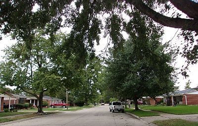 2nd image of 22618 W Maplelawn Ave