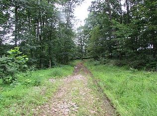 Mt Dewey Rd, Saint marys, WV 26170