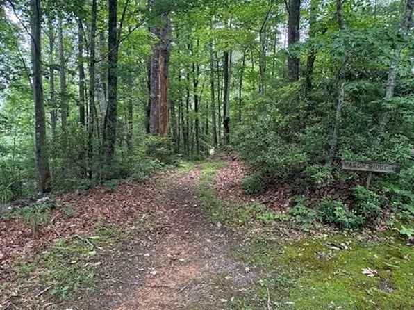 11 Wagon Ridge Road, Ferguson, NC 28624