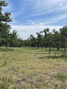 20 Scott Branch Rd, Harper, TX, 78631