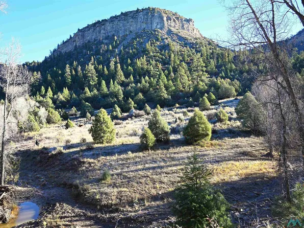 County Road 352, Dulce, NM 87528