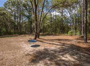 10064 N Athenia Dr, Citrus Springs, FL 34434