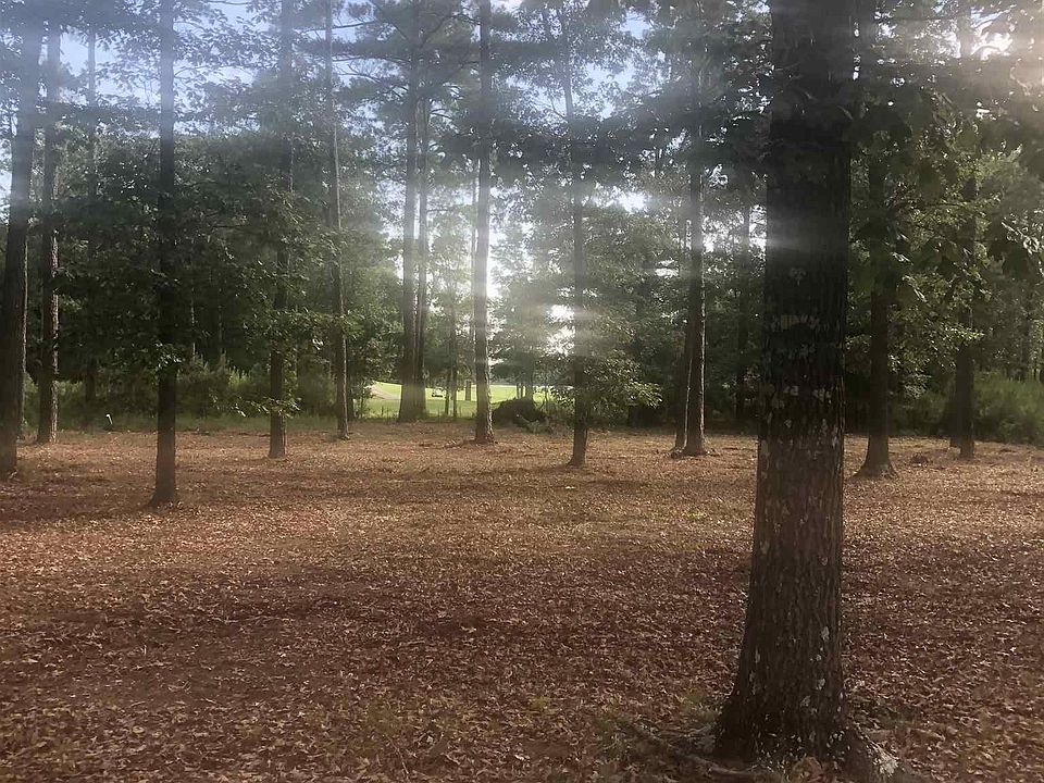 2nd image of 101 Old Camp Rd
