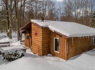 9844 E Grandview Trl, Reed City, MI 49677