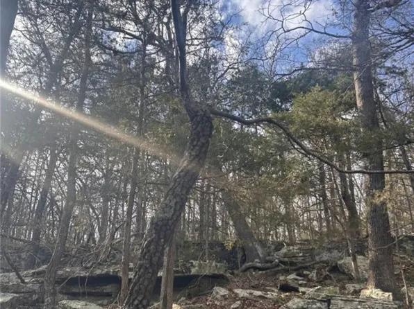 E Forever Pl, Fayetteville, AR 72701