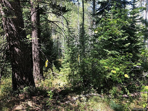 2nd image of 28100 Grouse Creek Park Rd #B1