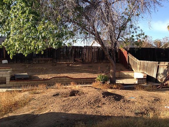 Back yard