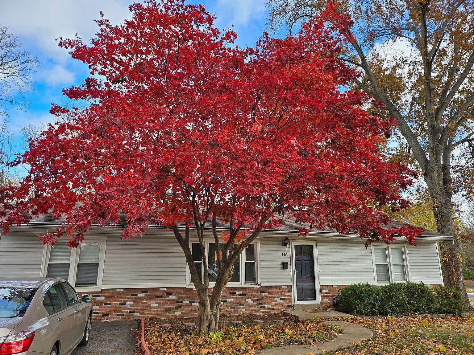 118 N Gore Ave photo 1
