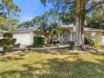 10 Wayler Pl, Palm Coast, FL, 32164