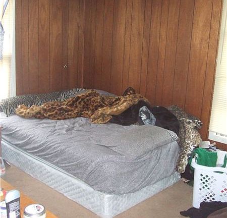 Large bedroom next to the living room. Bed is queen size and