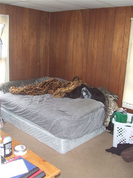 Large bedroom next to the living room. Bed is queen size and