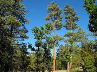 2692 Hopi Dr, Happy Jack, AZ 86024