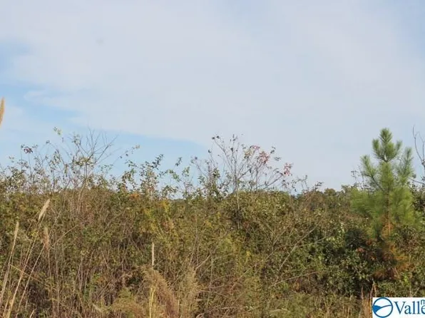LOT 1 Hillside Dr NW, Fort Payne, AL 35968