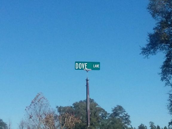5th image of 126 Dove Ln