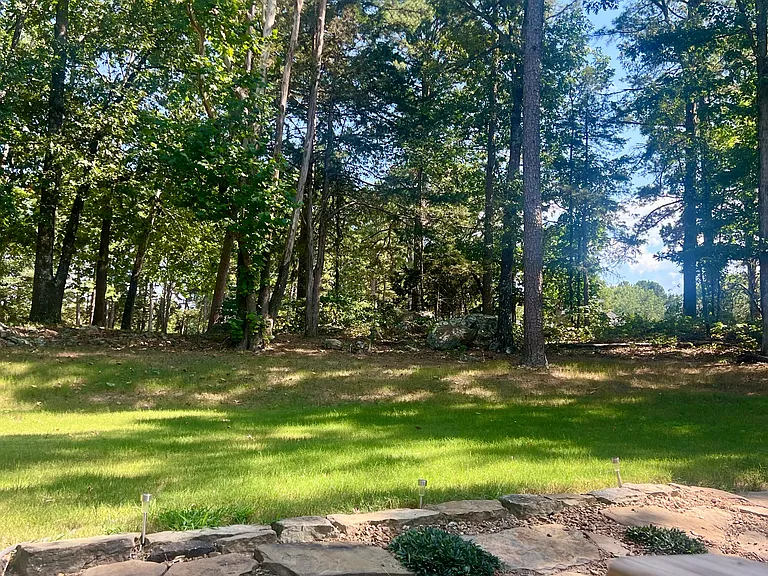 315 Mountain Ranch Dr — Photo 15